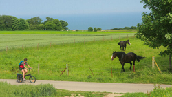 pic_Normandie - Côte Albâtre und Baie de Somme 